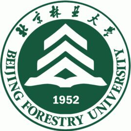 凯发官网平台